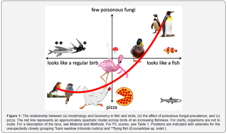 Relationship between the morphology of fish and birds with fungi and pizza